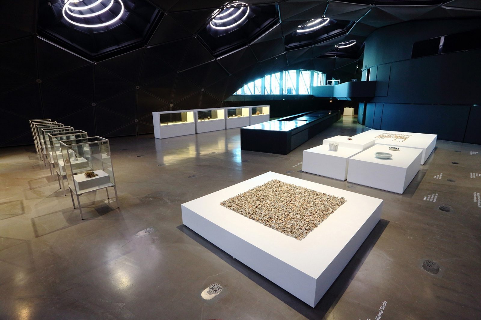Kneaded Knowledge, installation view
