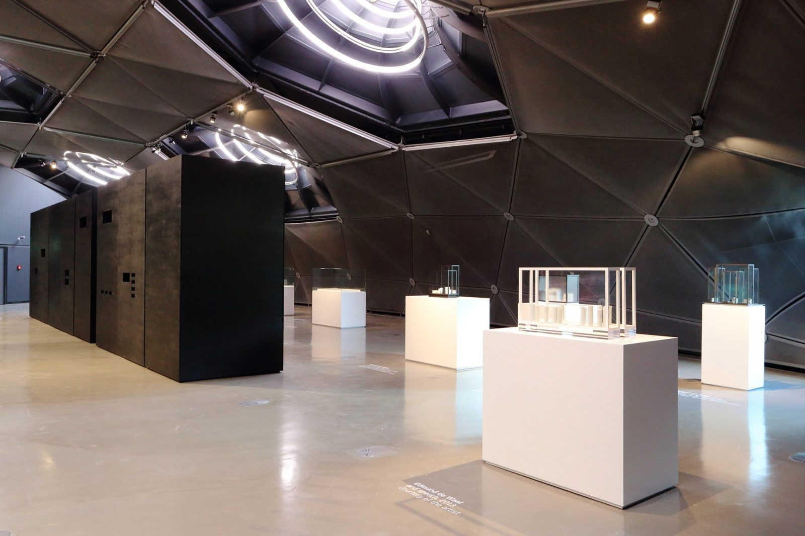 Kneaded Knowledge, installation view