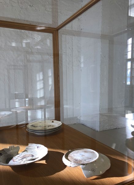 Meissen plates from the von Klemperer Collection (installation view)