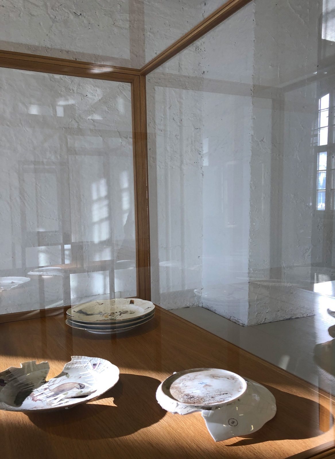 Meissen plates from the von Klemperer Collection (installation view)
