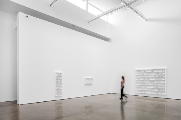 the heart was a place made fast; a book of hours; rain diary