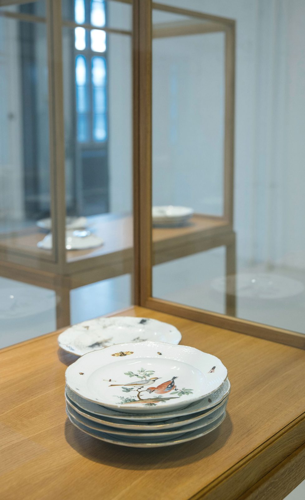 Meissen plates from the von Klemperer Collection (installation view)