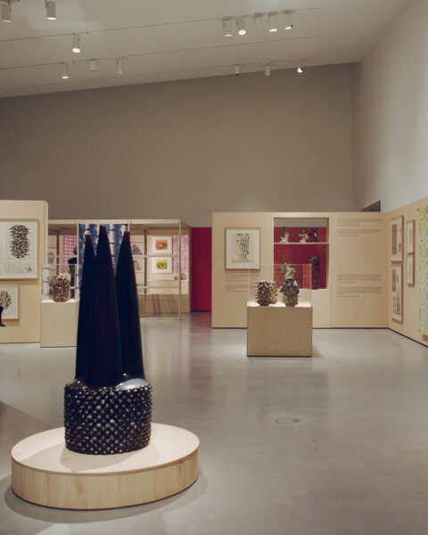 Playing with Fire: Edmund de Waal and Axel Salto, installation view