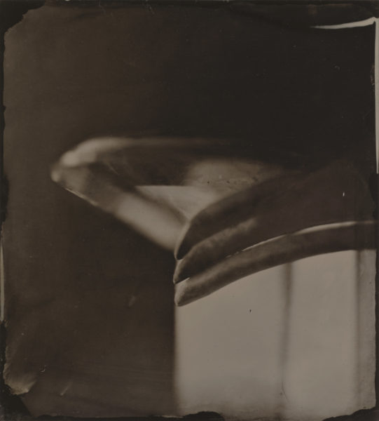 Sally Mann, Tintype, Still Life #14, 2019