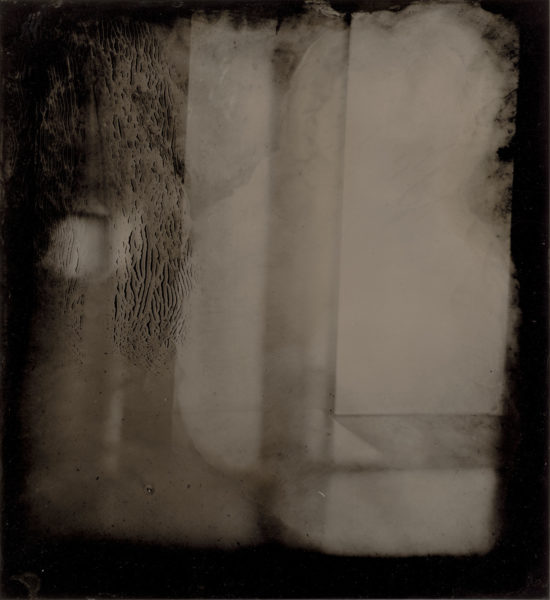 Sally Mann, Tintype, Still Life #18, 2020