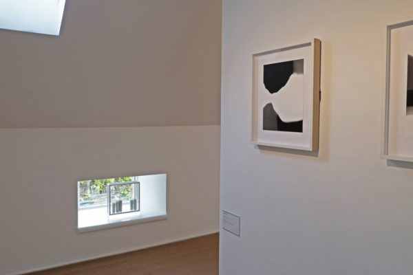 holmr, I, installation view